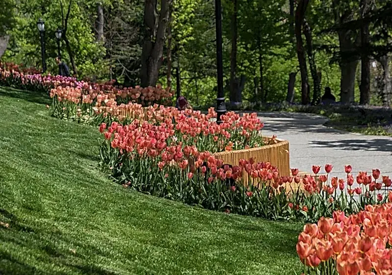 Sarıyer Gezi Rehberi-Sarıyer'de Gezilecek Yerler