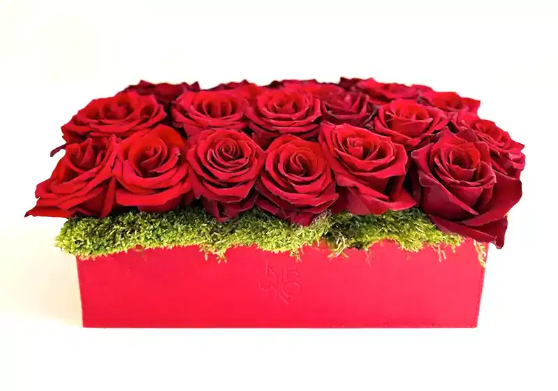 Sevgililer Günü için Film Önerileri