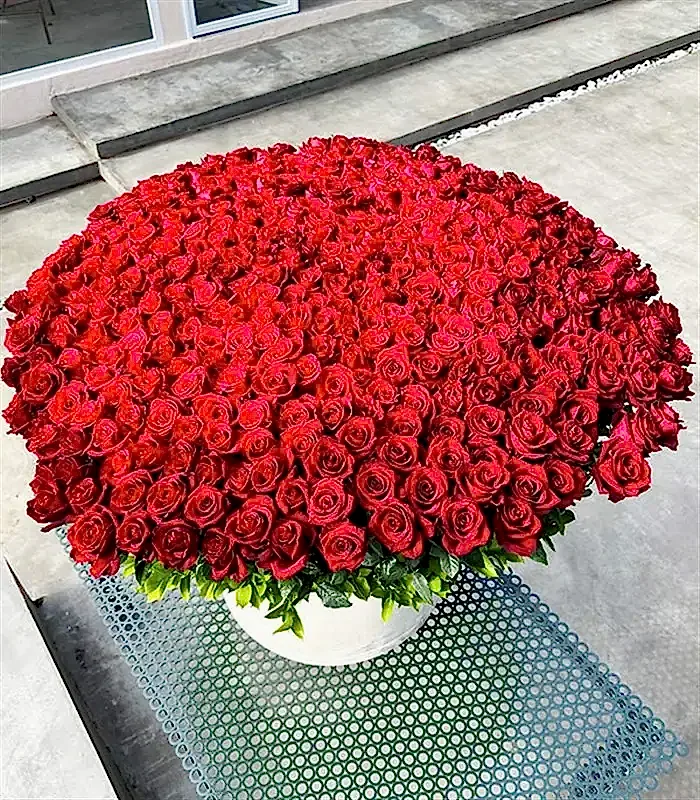 365 Kırmızı Gül The Year of Our Love Royal Deluxe Aranjman