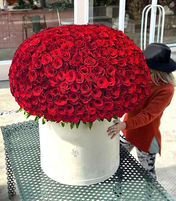 500 Kırmızı Gül Empire Deluxe Kutu Aranjman