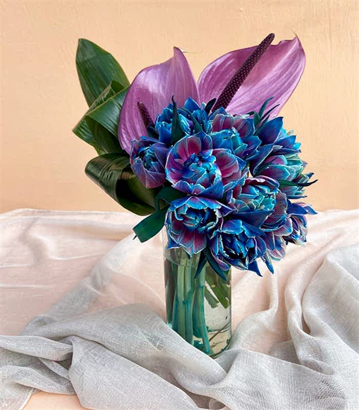 Andromeda Galaksi Laleler Aranjmanı