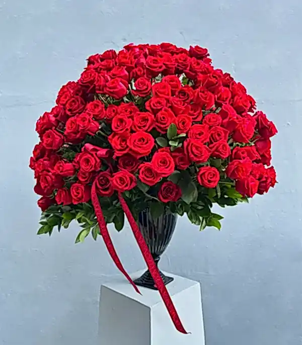 Aphrodite 251 Kırmızı Gül Panoramik Royal Deluxe Aranjman