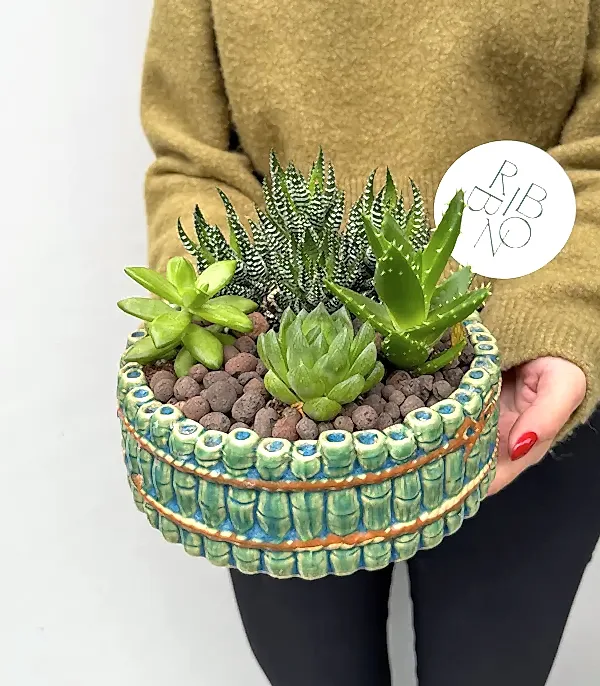 Bambu Seramik Vazoda Sukulent