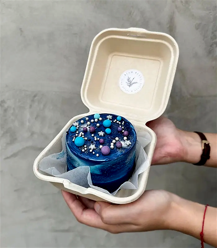 Beam Bakes Galaksi Mini Bento Yaş Pasta