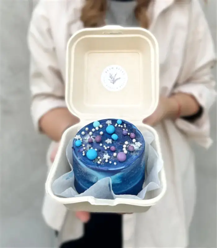Beam Bakes Galaksi Mini Bento Yaş Pasta