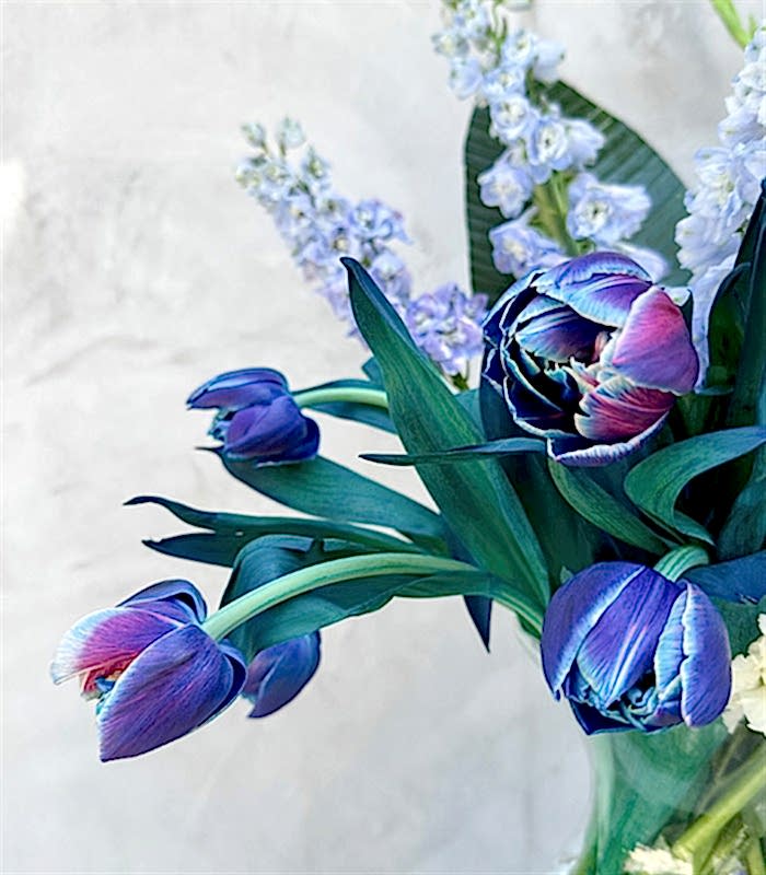 Bianca Galaksi Laleli Mavi Delfinyum Beyaz Yaz Aranjmanı