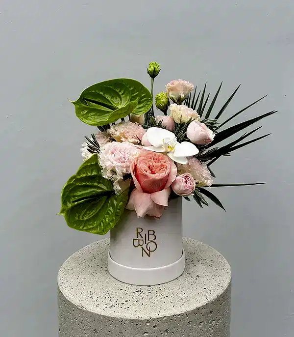 Buds of Verona Krem Mini Kutuda Pastel Çiçekler