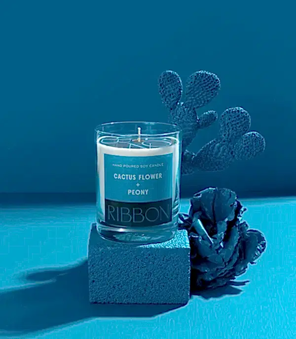 Cactus Flower + Peony Cam Mum