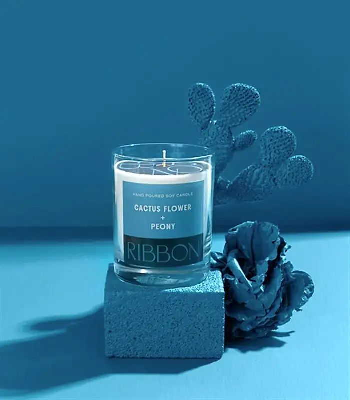 Cactus Flower + Peony Mum Kuru Çiçek Çantalı Hediye Seti