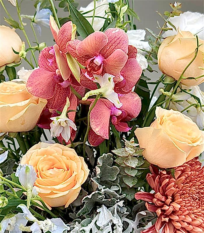 Cecelia Krem Gül Delfinyum Narçiçeği Orkide Soft Aranjman