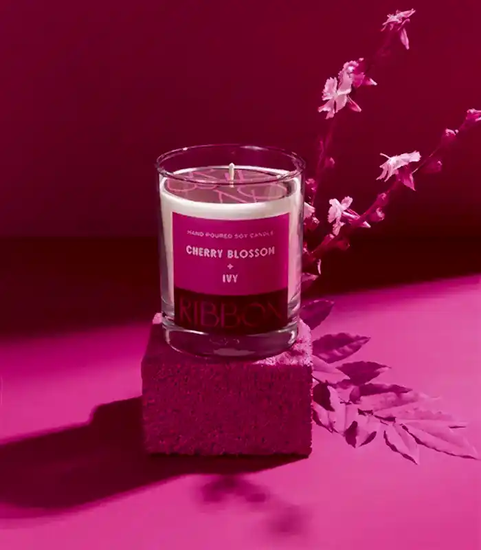 Cherry Blossom + Ivy Mum Kuru Çiçek Çantalı Hediye Seti