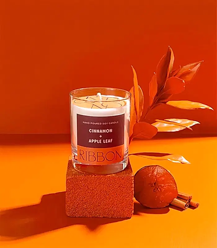 Cinnamon + Apple Leaf Mum Kuru Çiçek Çantalı Hediye Seti