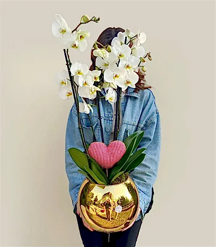 Deluxe Gold Vazoda Kalp Figürlü 4 Dal Beyaz Orkide