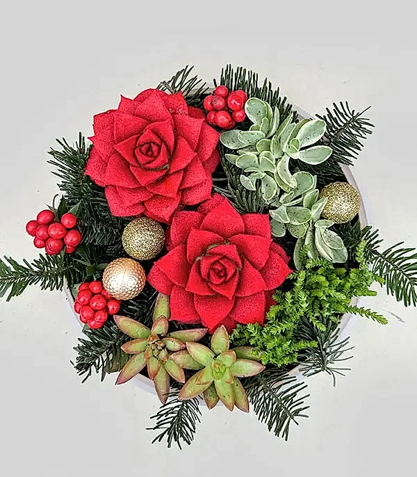 Deluxe Yılbaşı Sukulent Bahçesi