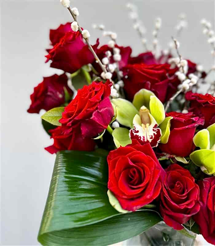 Eros Vazoda Deluxe 20 Kırmızı Gül Orkide