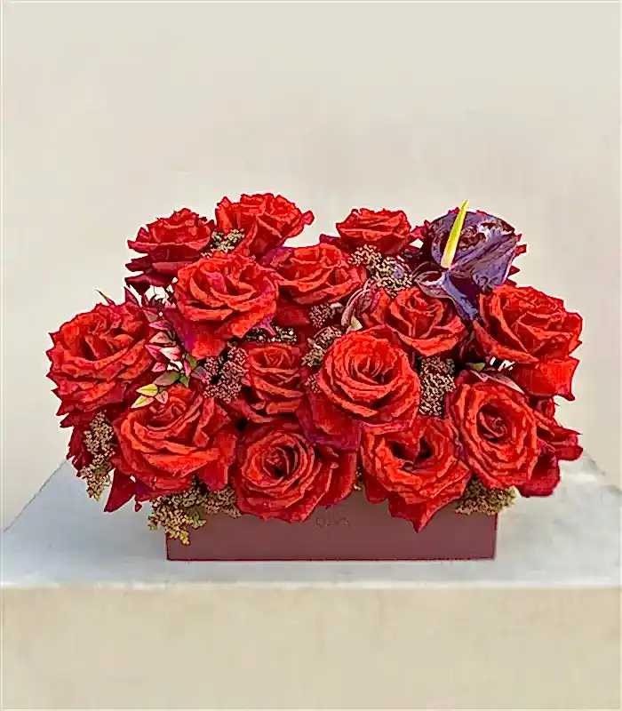 Euphoria Bordo Deri Kutu Kırmızı Gül Aranjmanı