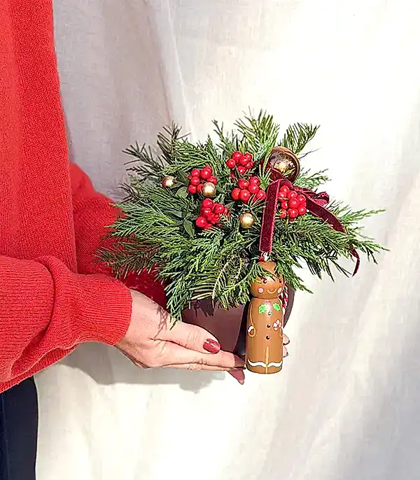 Gingerbread Mini Seramik Vazoda Kokina Yılbaşı Aranjmanı