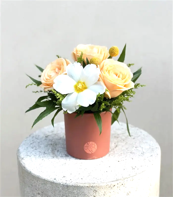 Glow Mini Somon Vazoda Kayısı Gül Lale Aranjmanı