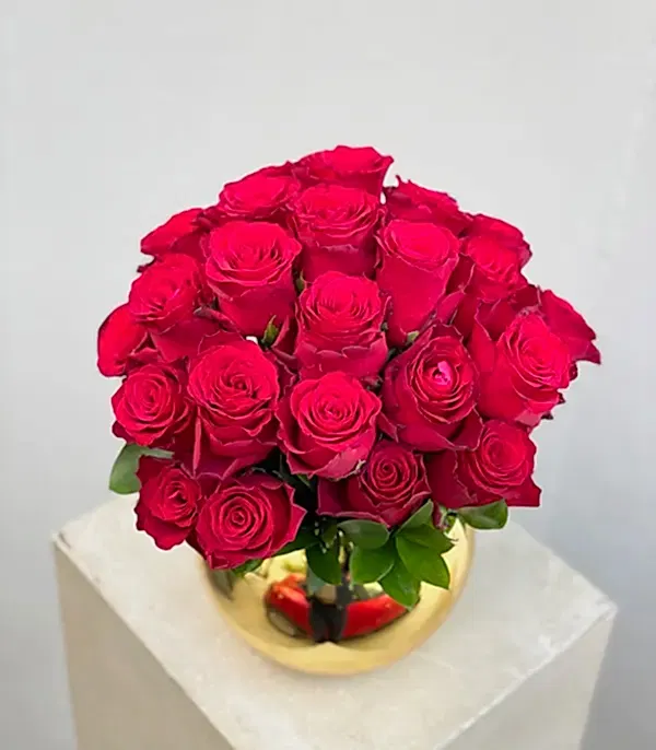 Gold Vazoda 25 Kırmızı Güller Ekvator Gülü