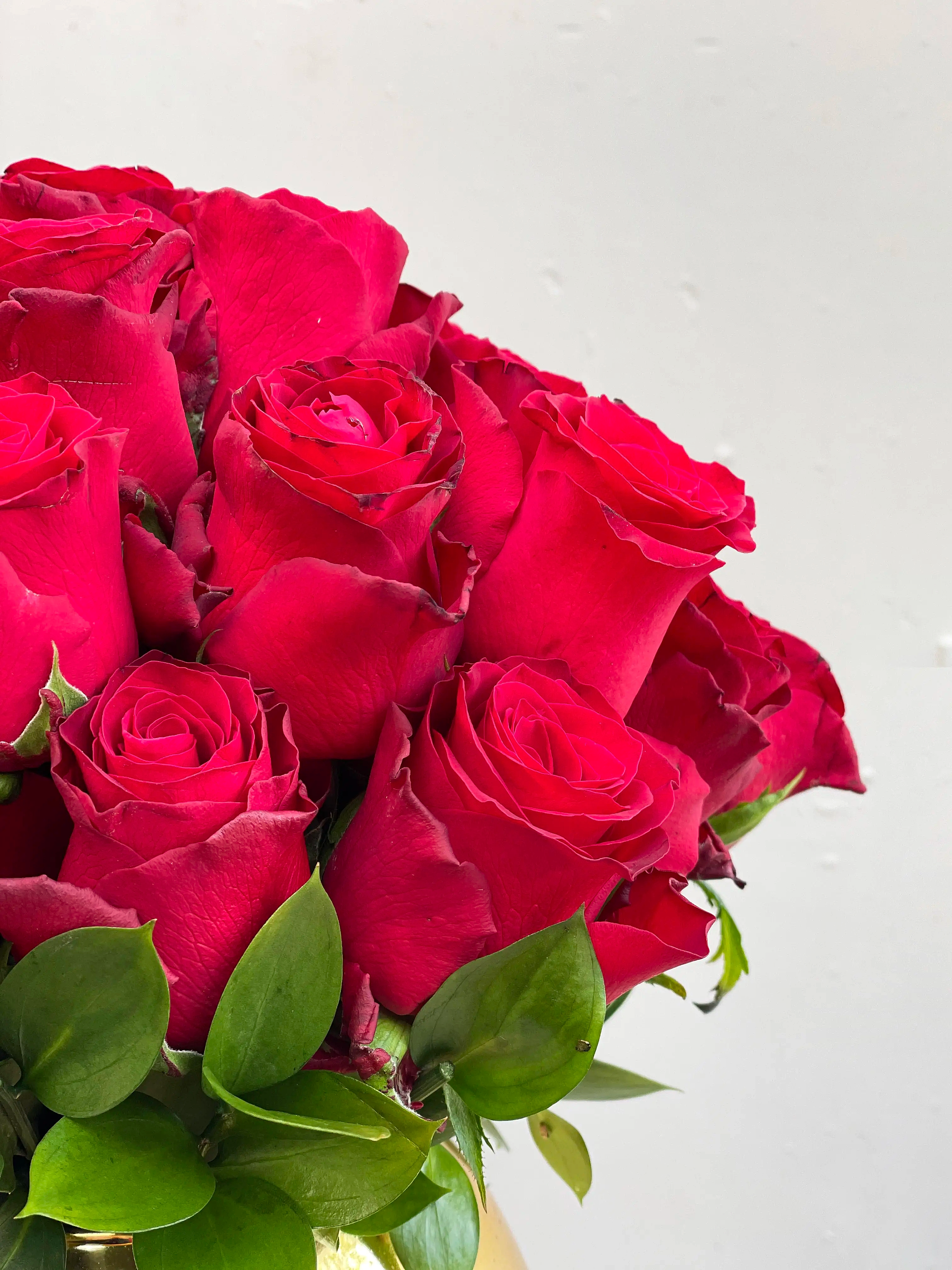 Gold Vazoda 25 Kırmızı Güller Ekvator Gülü