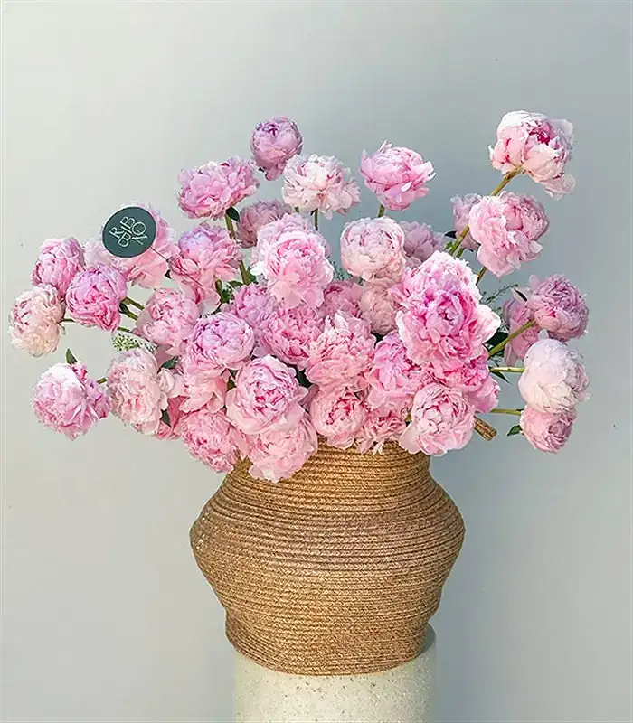 Grand Deluxe Sepette 50 Pembe Şakayık Aranjmanı