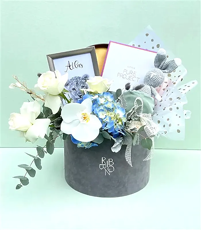 İsme Özel Miela Kids & Pure Project Yeni Doğan Bebek Hediye Kutusu Erkek