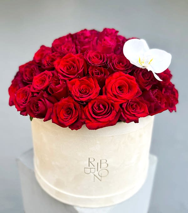 Jade Krem Grand Kutuda 50 Kırmızı Güller