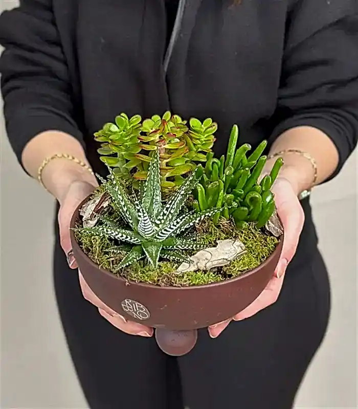 Kahverengi Ayaklı Seramik Saksı Sukulent Bahçesi Deluxe