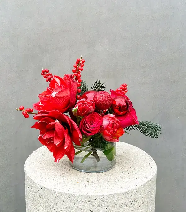 Kırmızı Amaryllis Ilex Mini Yılbaşı Aranjmanı
