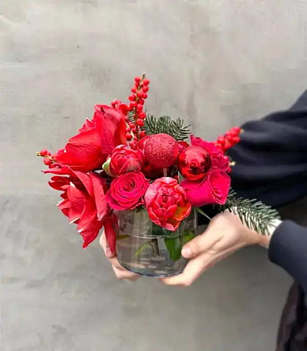 Kırmızı Amaryllis Ilex Mini Yılbaşı Aranjmanı