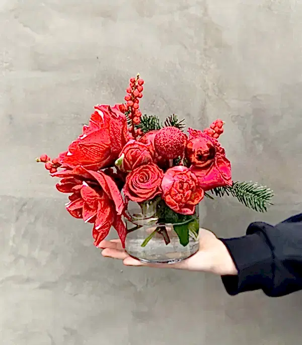 Kırmızı Amaryllis Ilex Mini Yılbaşı Aranjmanı
