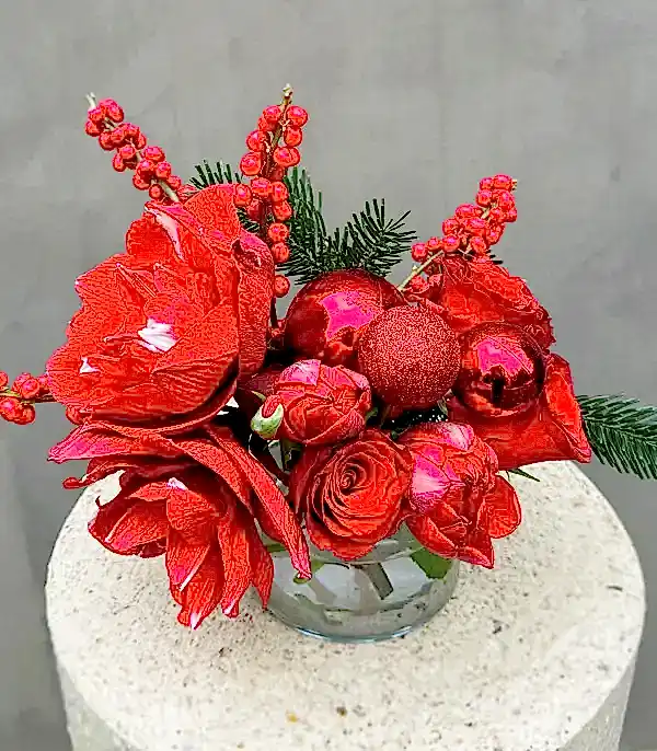 Kırmızı Amaryllis Ilex Mini Yılbaşı Aranjmanı