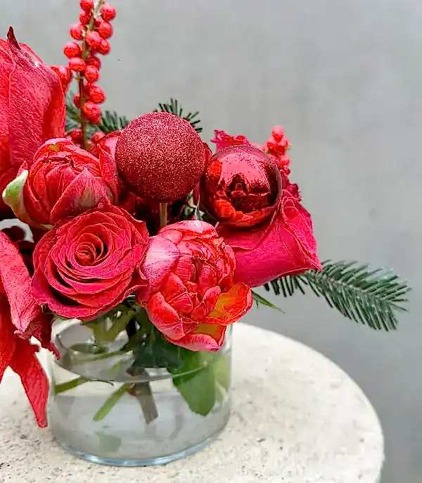 Kırmızı Amaryllis Ilex Mini Yılbaşı Aranjmanı