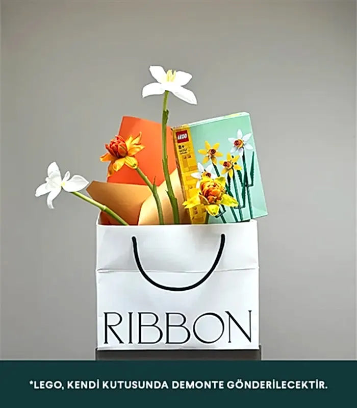 LEGO Nergis Yeşil Seramik Vazo Hediye Seti