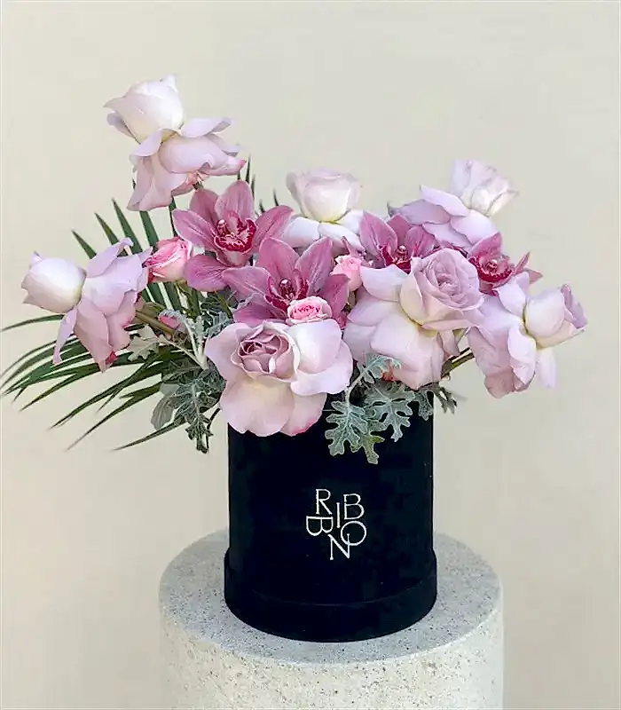 Lily Siyah Kadife Kutu Lila Güller Cymbidium Orkide Aranjmanı