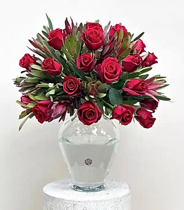 Love Language Deluxe Panoramik 25 Kırmızı Gül Conebushes Aranjmanı
