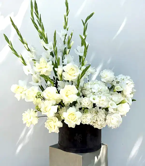Luce Bianca Grand Deluxe Gri Kutuda Beyaz Yaz Aranjmanı