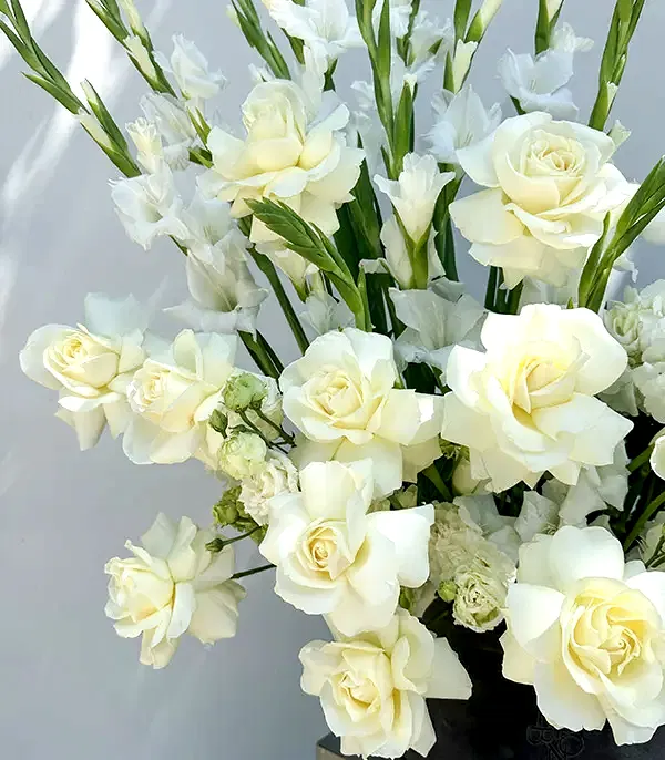 Luce Bianca Grand Deluxe Gri Kutuda Beyaz Yaz Aranjmanı