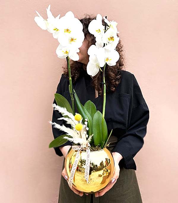 Luxe Gold Vazoda Orkide Beyaz