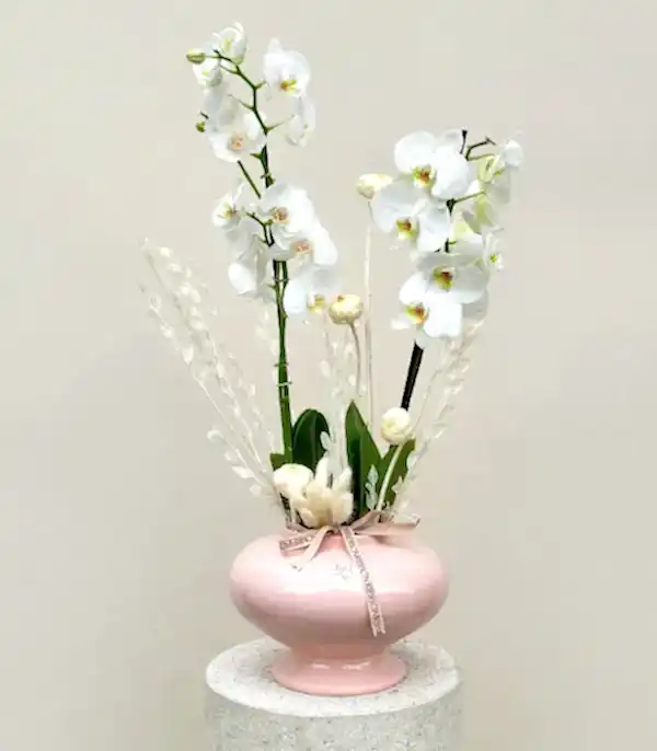 Luxe Pudra Seramik Vazoda Beyaz Orkide