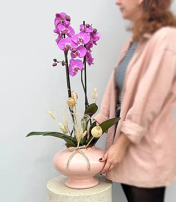 Luxe Pudra Seramik Vazoda Fuşya Orkide