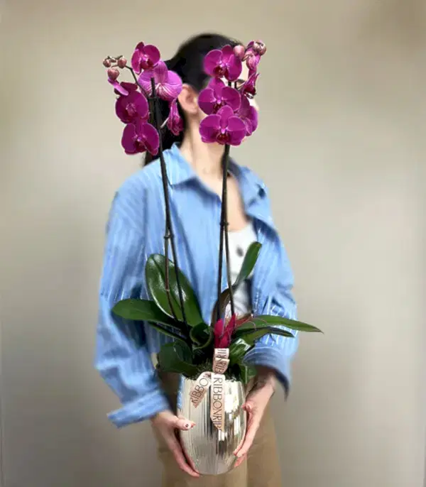 Luxe Silver Ayna Efektli Uzun Vazoda Fuşya Orkide