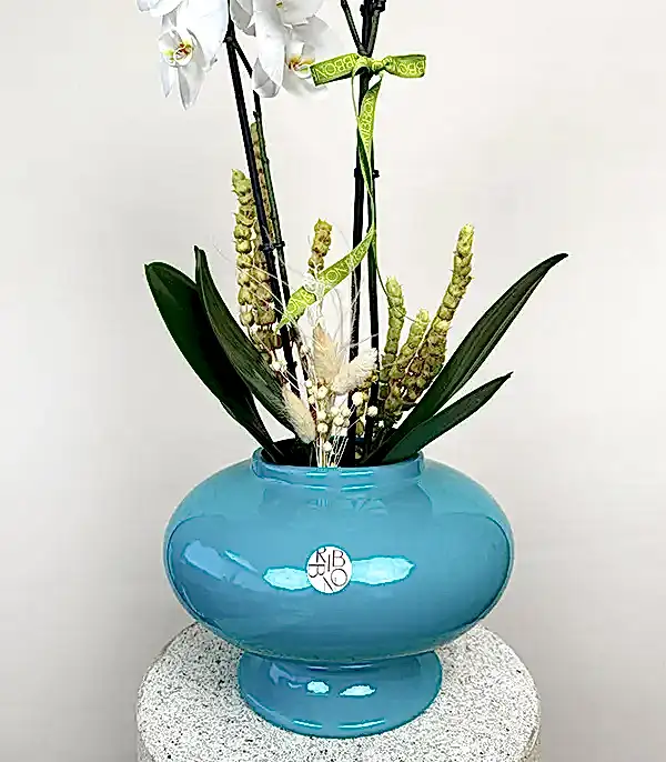 Luxe Turkuaz Seramik Vazoda Beyaz Orkide