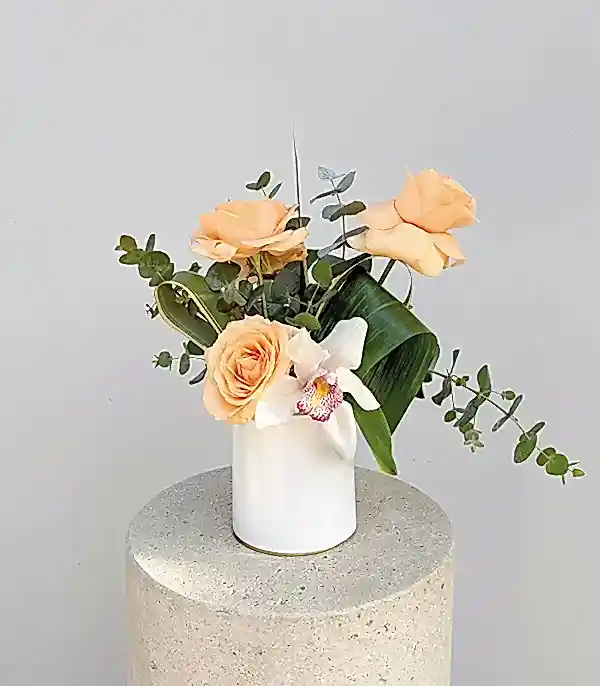 Mini Kayısı Gül Orkide Aranjmanı