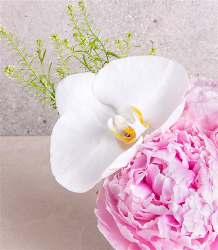 Mini Vazoda Şakayık ve Orkide