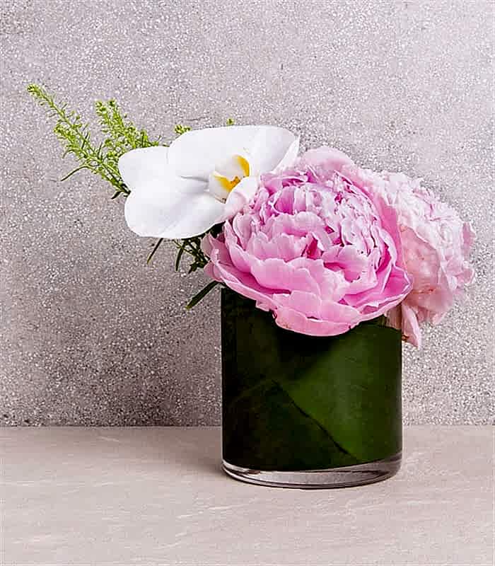 Mini Vazoda Şakayık ve Orkide