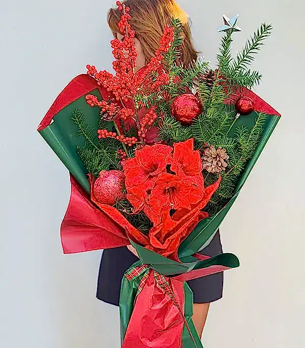 Narlı Amaryllis Ilex Kırmızı Deluxe Yılbaşı Buketi