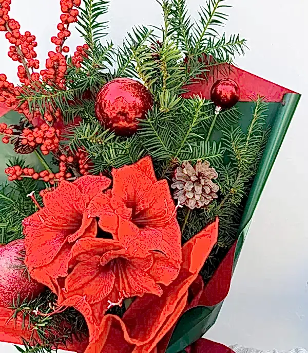 Narlı Amaryllis Ilex Kırmızı Deluxe Yılbaşı Buketi