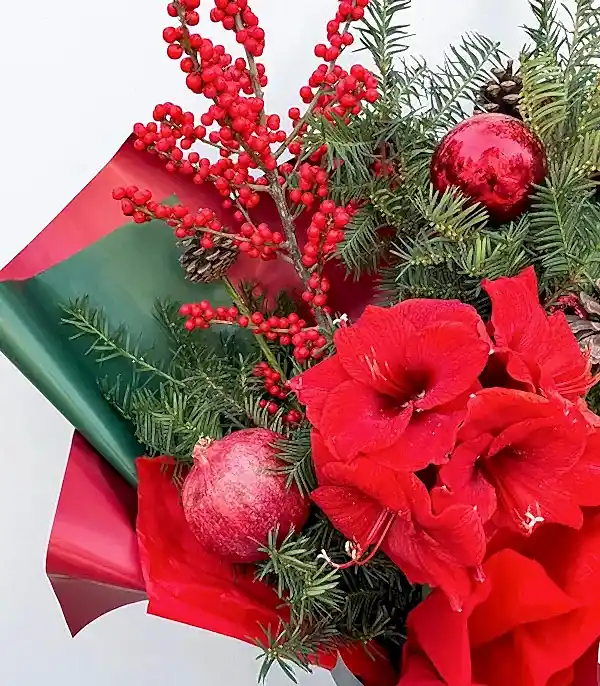Narlı Amaryllis Ilex Kırmızı Deluxe Yılbaşı Buketi