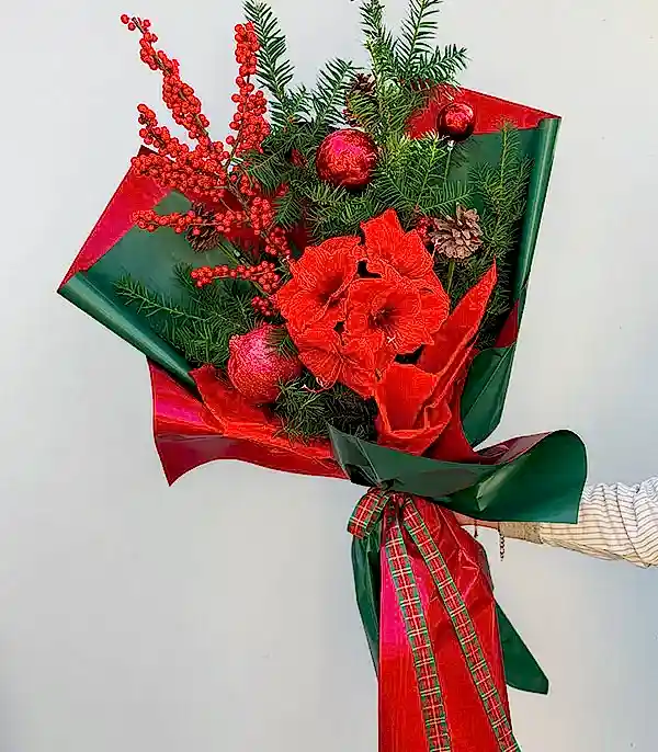 Narlı Amaryllis Ilex Kırmızı Deluxe Yılbaşı Buketi